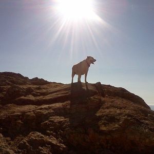 Meet your Posher, Steve